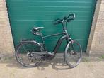 Pegasus elektrische fiets, Overige merken, Ophalen of Verzenden, Zo goed als nieuw, 59 cm of meer