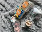 Difrax Bibs kruitvat fopspenen, Ophalen of Verzenden, Nieuw, Overige typen