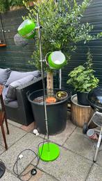 Retro bollamp, staand met 2 bollen, Huis en Inrichting, Lampen | Vloerlampen, Ophalen, Gebruikt, Metaal, 150 tot 200 cm