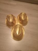 21 Gouden Hoedjes - Carnaval!, Kleding | Heren, Ophalen, Zo goed als nieuw