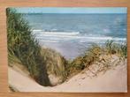 Ansichtkaart Duinen Strand Cadzand 4601, Verzamelen, Ansichtkaarten | Nederland, Ophalen of Verzenden, Zeeland