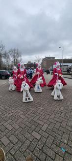 Carnaval - barok jurken met poedels - 1e prijs optocht, Gedragen, Ophalen