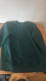 Carhartt trui L, Maat 52/54 (L), Carhartt, Ophalen of Verzenden, Gedragen