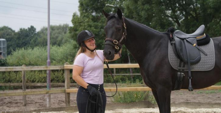 Zadelmak maken | Schrik- en obstakeltraining, Dieren en Toebehoren, Stalling en Weidegang, Opfok