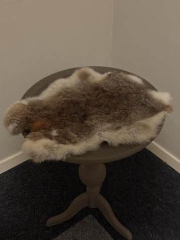 Konijnenvacht beschikbaar voor biedingen