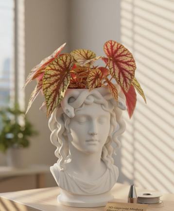 Medusa Bloempot - Mythologisch Design beschikbaar voor biedingen