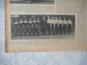Bergen op Zoom. Gymnastiekver. Hygiëa en U.D.I. 1914.
