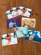 Setje ansichtkaarten met honden, Ophalen of Verzenden, Nieuw