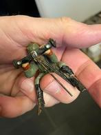 Elastolin soldaat met afstandmeter, Antiek en Kunst, Ophalen of Verzenden