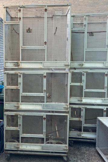 vogel hokken van gezet metaal met aluminium voorfront beschikbaar voor biedingen
