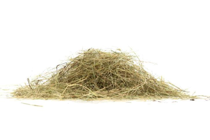 WEIDEHOOI te koop bij Stouten Fourage, Dieren en Toebehoren, Dierenvoeding, Vee, Ophalen of Verzenden