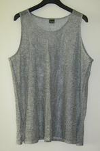 NIEUWE zilverkleurige top van Big Chic by Jagro, maat XL/XXL, Overige kleuren, Maat 46/48 (XL) of groter, Nieuw, Ophalen of Verzenden