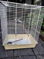 Grote vogelkooi, Ophalen of Verzenden, Zo goed als nieuw, Metaal, Vogelkooi