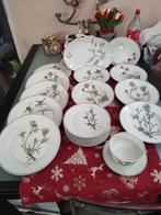 Tirschenreuth Bavaria Servies met bloemmotief, Huis en Inrichting, Keuken | Servies, Ophalen of Verzenden, Zo goed als nieuw, Overige stijlen