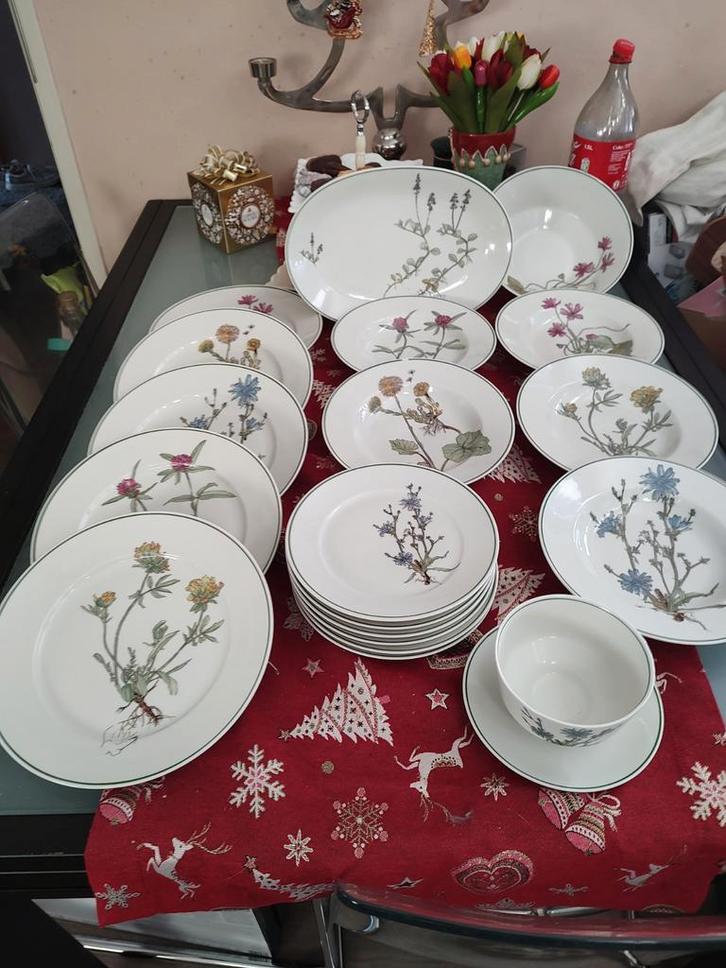 Tirschenreuth Bavaria Servies met bloemmotief, Huis en Inrichting, Keuken | Servies, Zo goed als nieuw, Compleet servies, Overige stijlen