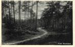 Gelderland- -Fraai Boschpad., Verzenden, 1920 tot 1940, Gelopen, Gelderland