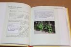 Geneeskruiden Lexicon — Werking & Toepassing, Boeken, Ophalen of Verzenden, Gelezen