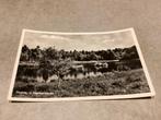 Heerde.       ‘t Pluizenmeertje.   1954, Verzamelen, Ansichtkaarten | Nederland, Ophalen of Verzenden, 1940 tot 1960