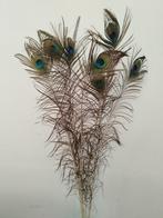 Pauwenveren, Huis en Inrichting, Woonaccessoires | Droogbloemen, Ophalen, Zo goed als nieuw