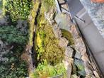 Vijver, Tuin en Terras, Vijvers, Ophalen of Verzenden, Gebruikt
