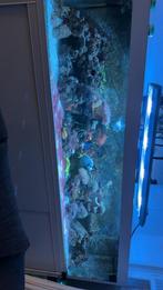 Groot zeeaquarium te koop zonder vis en koraal, Overige typen