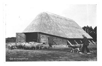 981321	Epe	Gld 1965	Schaapskudde Schaapskooi	Gelopen  beschikbaar voor biedingen