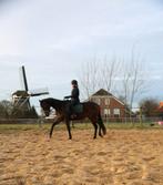 ☘️️ Prachtige😍 talentvolle merrie 4 jaar 1.57,5cm☘️❤️, Merrie, Minder dan 160 cm, 3 tot 6 jaar, Met stamboom
