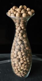 5,6 kilo walnoten in een vaas, Gebruikt, Overige kleuren, 50 tot 75 cm, Ophalen of Verzenden