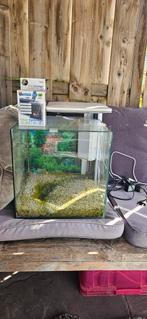 Aquarium Cube 30 compleet wit, Ophalen, Gebruikt, Leeg aquarium