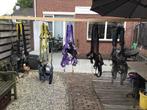 Klimharnas, valbeveiliging, valharnas, veiligheidsgordel, Sport en Fitness, Klimsport, Ophalen, Gebruikt, Klimsport-accessoire