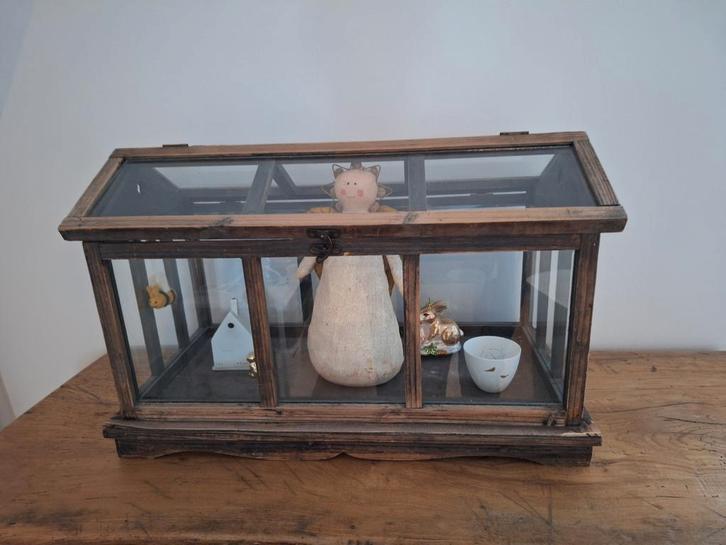 Oud Glazen Kastje - Planten/Decoratie, Antiek en Kunst, Antiek | Woonaccessoires, Ophalen of Verzenden