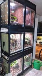 paludarium, Dieren en Toebehoren, Ophalen, Zo goed als nieuw, Terrarium of Paludarium