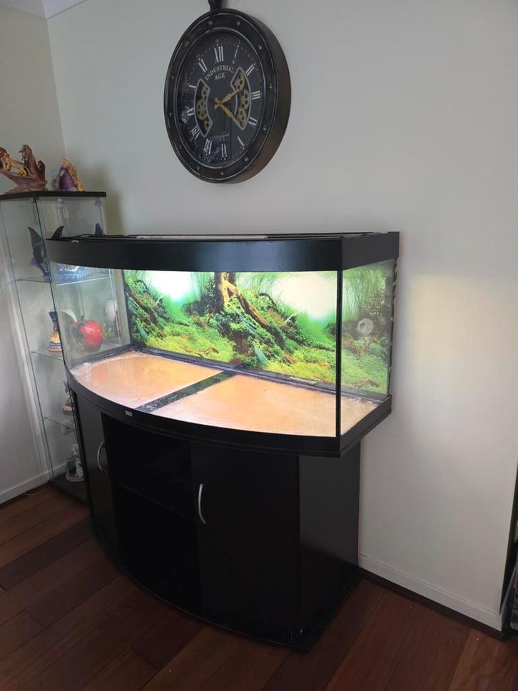 Juwel 450L aquarium/terrarium. Lees goed de beschrijving!, Dieren en Toebehoren, Vissen | Aquaria en Toebehoren, Gebruikt, Leeg aquarium