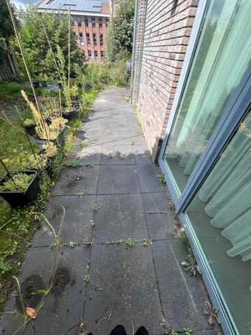 Tegel terras/tuin 60 x 60 antraciet beschikbaar voor biedingen