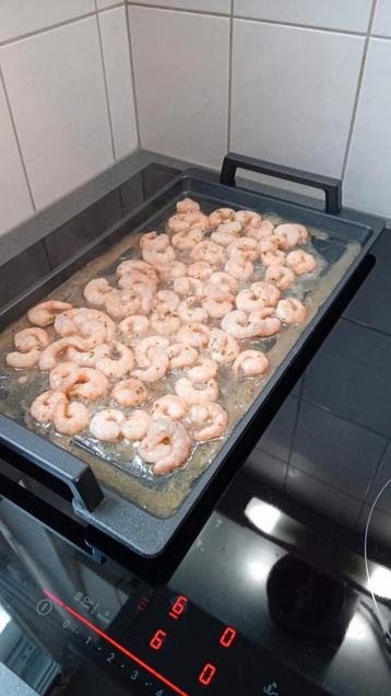 Novy grillplaat voor inductie beschikbaar voor biedingen