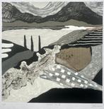 Zeefdruk Ronald Boonacker - Night sky II, Verzenden