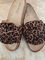 Party slippers en gympen 44 stuks, Ophalen, Nieuw, Sneakers of Gympen