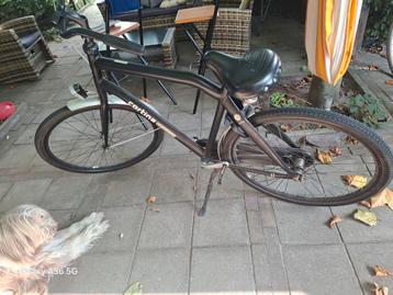 Mooie cortina crush beschikbaar voor biedingen