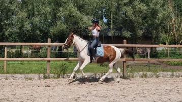 SUPER LEUKE KINDER PONY!! beschikbaar voor biedingen