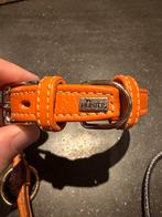 HUNTER  nappaleer zacht elegant elegant 40 (XS-S), oranje, Dieren en Toebehoren, Ophalen of Verzenden, Zo goed als nieuw