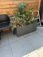 Grote stenen plantenbak, Tuin en Terras, Ophalen, Zo goed als nieuw, Steen, Minder dan 60 cm