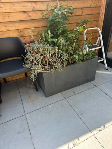 Grote stenen plantenbak beschikbaar voor biedingen