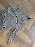 Jordan hoodie maat 9-10 years, Ophalen of Verzenden, Zo goed als nieuw, Trui of Vest