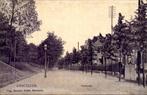 Enschede Parkweg Tulpkaart # 2602, Verzamelen, Ansichtkaarten | Nederland, Verzenden, Voor 1920, Gelopen, Overijssel