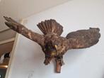 Roofvogel taxidermie, Ophalen, Gebruikt, Vogel, Opgezet dier