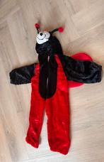 Carnavalspakje Lieveheersbeestje maat 12-18, Ophalen of Verzenden