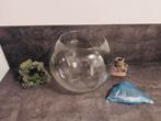 Ronde glazen vissenkom met toebehoren, Dieren en Toebehoren, Vissen | Aquaria en Toebehoren, Ophalen, Zo goed als nieuw, Leeg aquarium