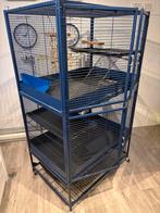 Grote rattenkooi - 2 verdiepingen - Savic royal suite 95, Ophalen, Gebruikt, 90 cm of meer, 75 tot 110 cm