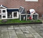 Konijnenhok met ren, Dieren en Toebehoren, Ophalen, Konijn, Hok, 110 cm of meer