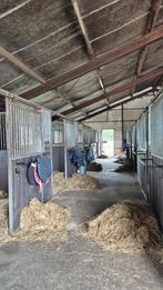 Privé stalling aangeboden in midwolda, Dieren en Toebehoren, Stalling en Weidegang, Stalling, 2 of 3 paarden of pony's